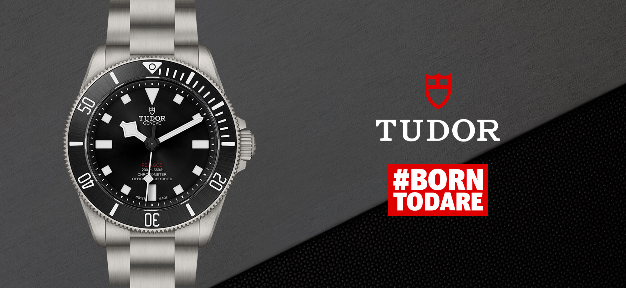 Tudor-banner (1)