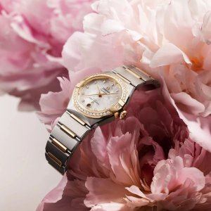 131.25.28.60.55.002_5