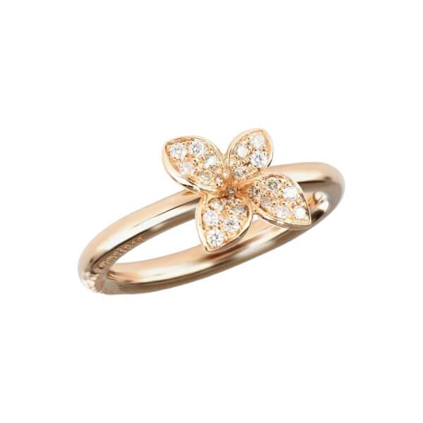 PASQUALE BRUNI-PETIT GARDEN-prs-16801R