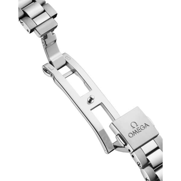 OMEGA-SEAMASTER AQUA TERRA-hod-220.10.30.20.55.001_3