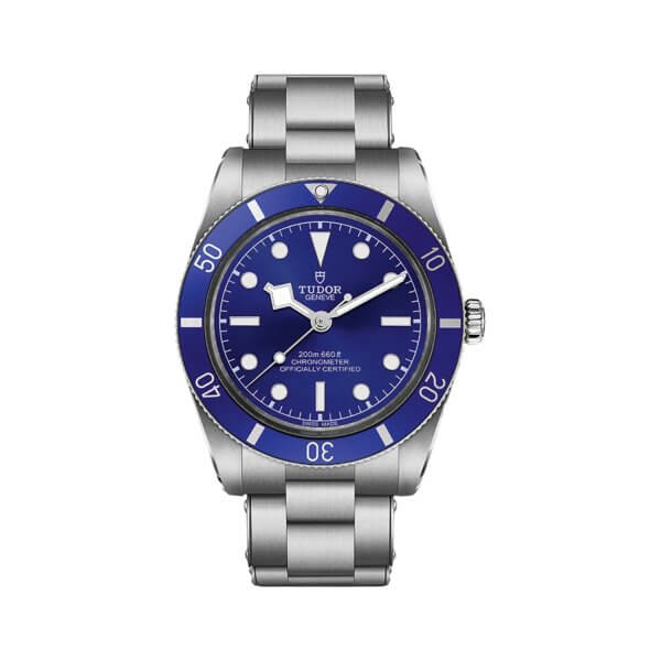 TUDOR-BLACK BAY-hod-M79000B-0001
