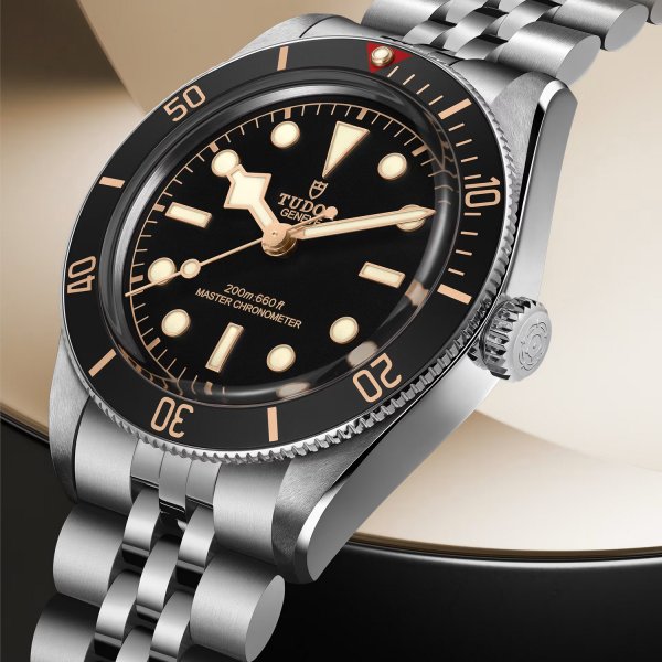 TUDOR-BLACK BAY-hod-M7939A1A0NU-0001_4